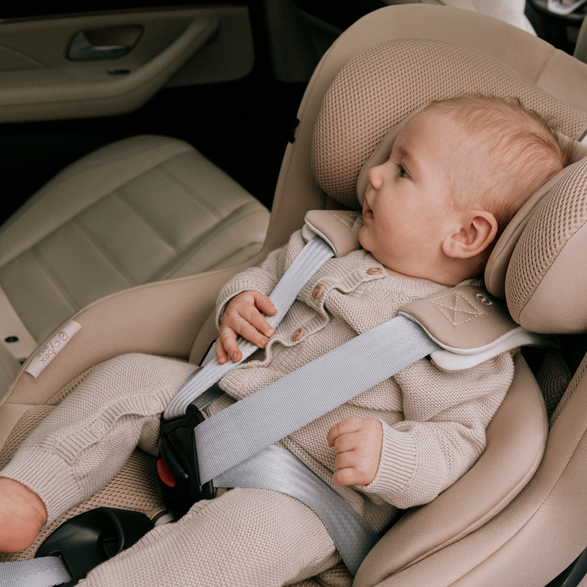 BLOG - fotka v článku - 2026-01-07T090430.384